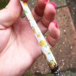 Photo by WeedLex (@Weed_Lex)