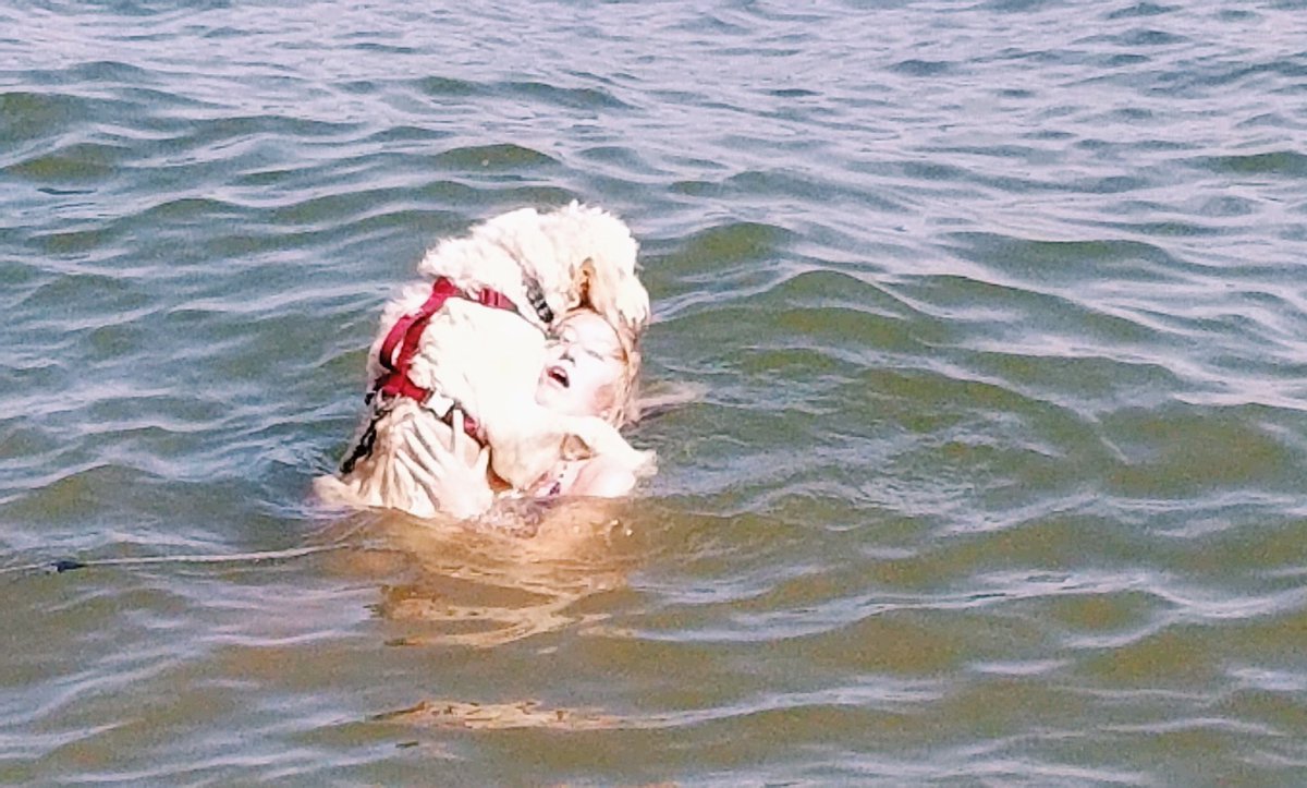 IzzyClark_14's tweet photo. I think it’s safe to say that my dog will not be a water dog anytime soon... https://t.co/KmbICzb7W9