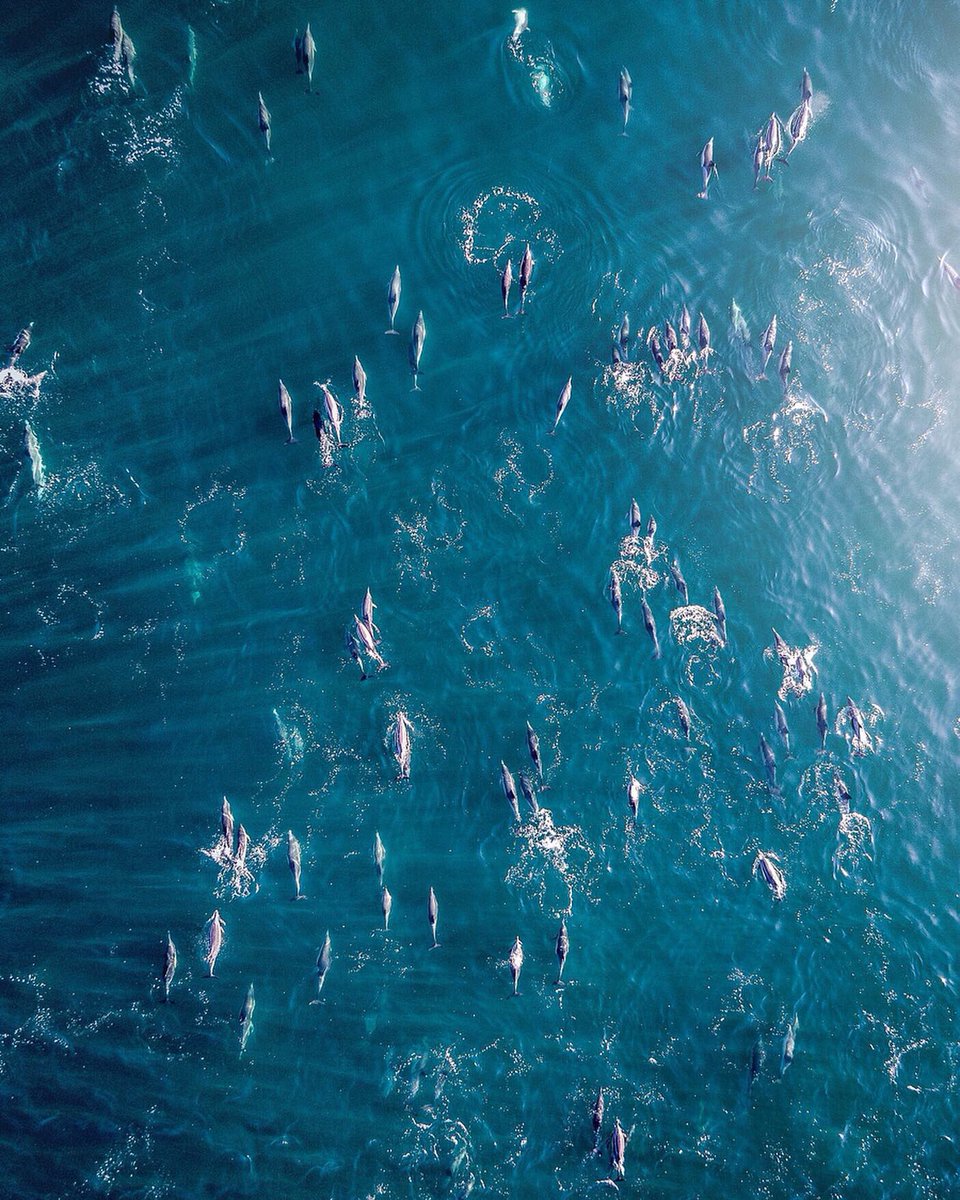 Kyle Mijlof tweet media