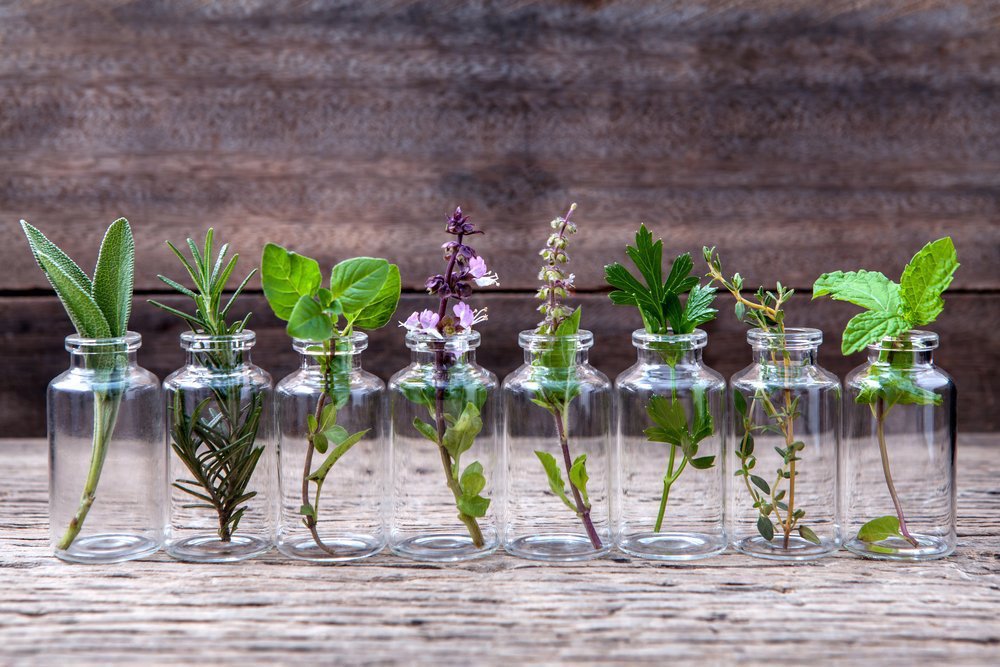 Re-growing vegetables from cuttings means getting the most mileage out of your groceries. Here’s how to do it. ow.ly/s1Qn30oPzo8