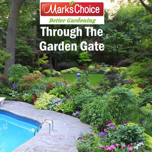 canadablooms's tweet photo. Congrats Sylvia Michell from London, ON winner of 2 passes to Mark's Choice Through the Garden Gate Contest. 
Didn't win?  It is not too late to get your tickets to this great tour. 
For details and to purchase tickets visit: https://t.co/ZyTVu5TRUC #TOgardentour #markschoice https://t.co/pDfWH4MH0o