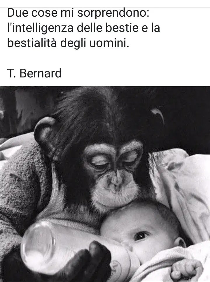 la mia buonanotte così