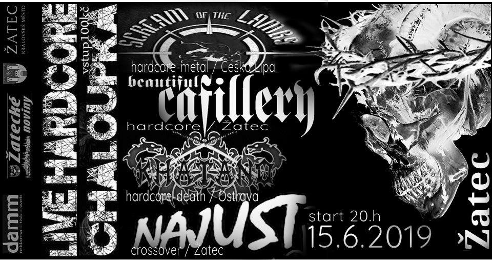 #beautifulcafillery #hc #hardcore   15. 6. 2019 hardcore akce v Žatci !