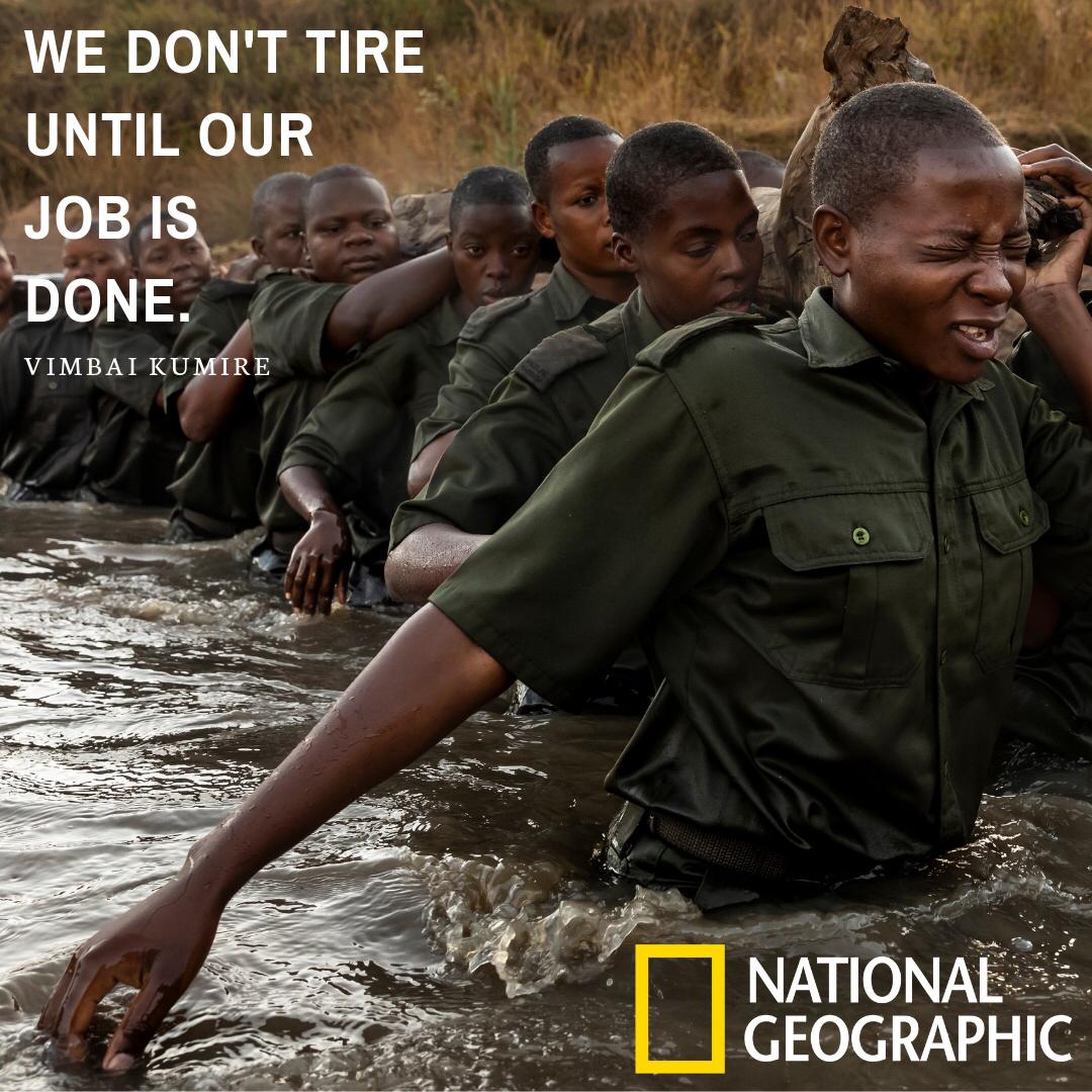 Why Zimbabwe's Women are Better at Stopping Poaching: https://on.natgeo.com/2LYxekv