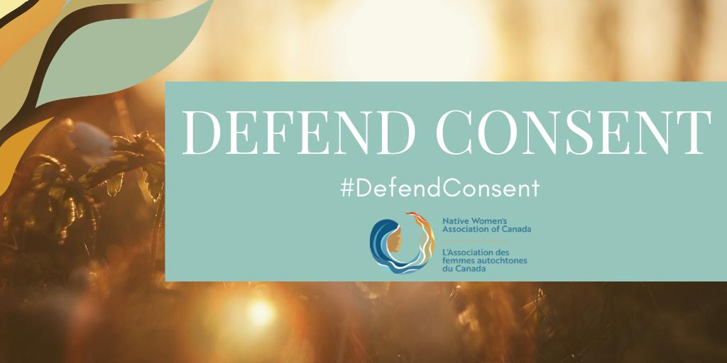 NWAC_CA's tweet photo. The forced and coerced sterilization of Indigenous women violates their rights to equality, non-discrimination, physical integrity, health, and security, and constitutes violence. Action must be taken to investigate these allegations as aggravated or sexual assault #DefendConsent https://t.co/46Gvf3yyww