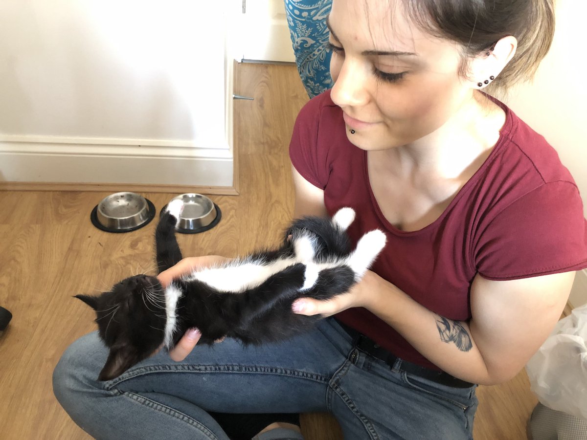 HumpiBump's tweet photo. 😍😍😍 
@stefijl ima novu macu! https://t.co/GfY2ymx1Kh