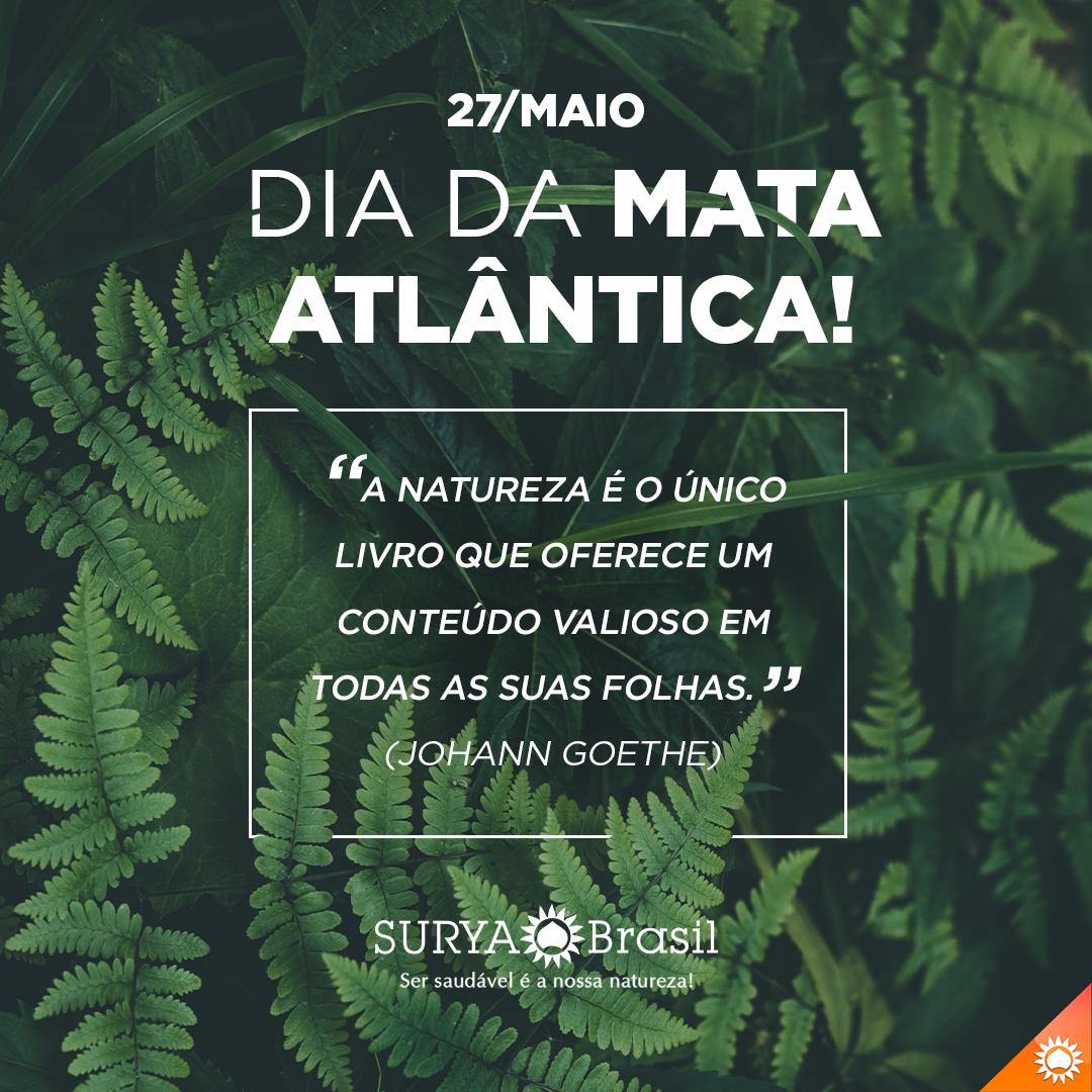 27/05/19 é o Dia da Mata Atlântica.
#suryabrasil #suryabrasilvegan #mataatlantica #diadamataatlantica