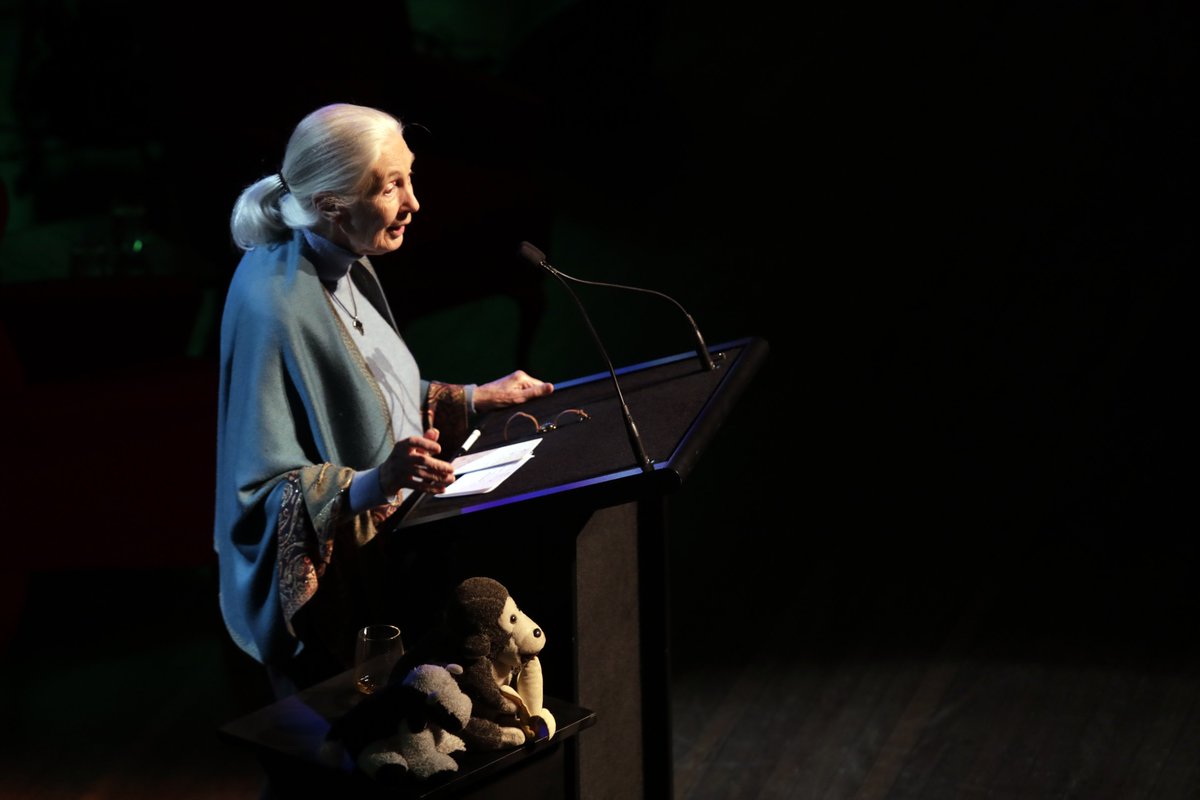 JGI_NZ's tweet photo. It was a glorious evening as Dr. Jane Goodall spoke to a sell out crowd in Wellington. Thanks to @JesseMulligan & #TrinityRoots for joining Dr Jane and bringing your own magic to the message and occasion, & our friends at @Loopcrew 💚
See you soon Christchurch!
#RewindTheFuture https://t.co/rLBWM7Yo41