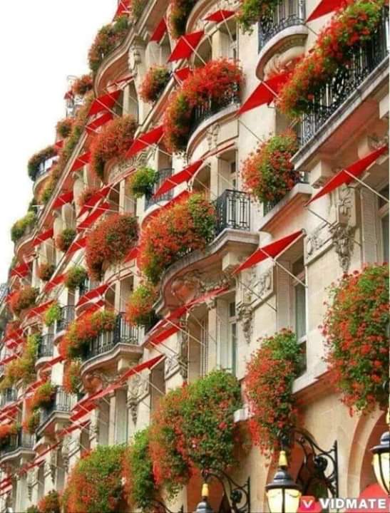 Berdacs, Moulvibazar (@tarekbokth) on Twitter photo 