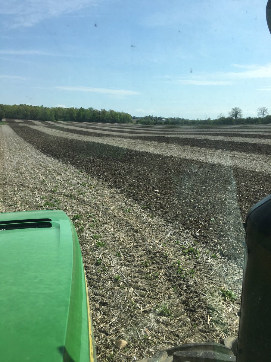 EdJHanson's tweet image. Whole farm #zebrapattern trial notill vs horizontaltill #plant19
