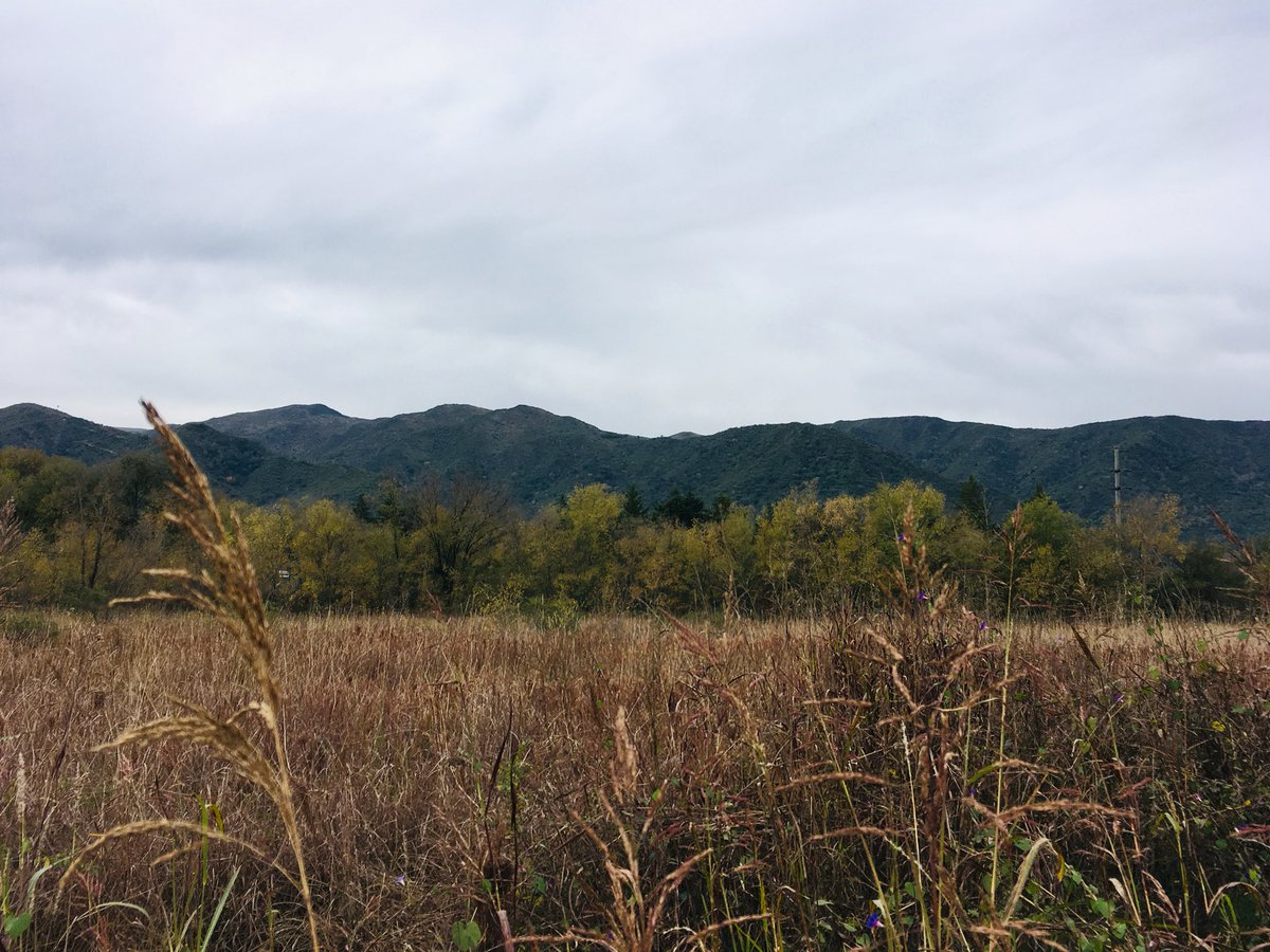 Crioshito's tweet photo. Tardecita de otoño en el valle de calamuchita. Cordoba 🇦🇷❤️
#thephotohour #stormhour #otoño #visitArg https://t.co/lIz8Z8nMGp