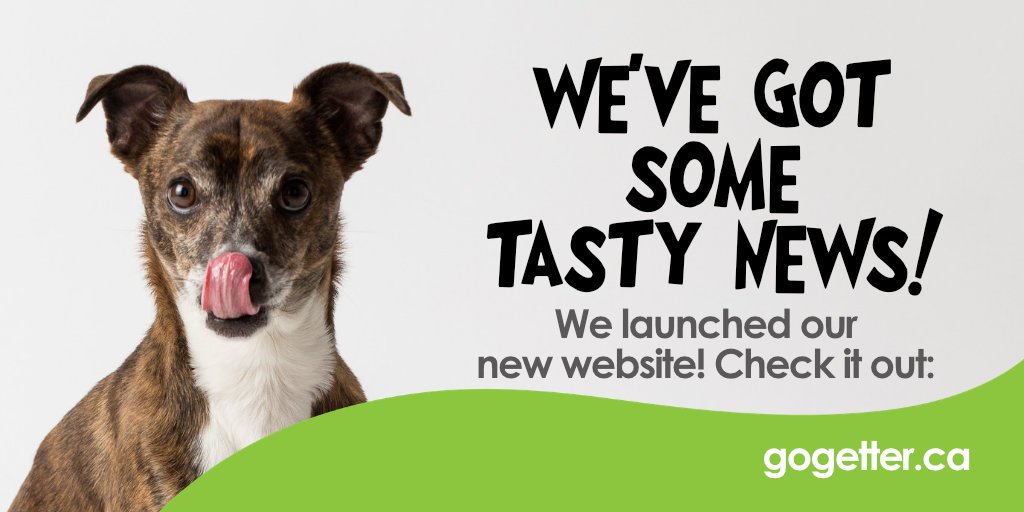 Exciting times <a href="/GoGetterMoving/">GoGetter Moving</a> with the launch of our new site. Clean, simple, fast and funny. #HickoryHelps #GoGetter