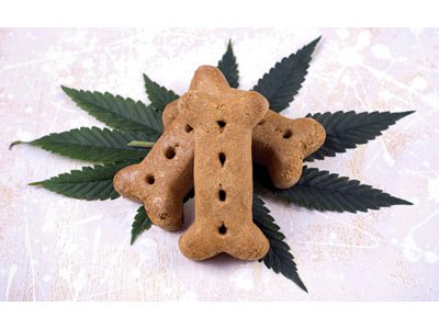 johnsfield97's tweet photo. RT https://t.co/83ZDnJFlQM RT https://t.co/yu7qPxRqn0 RT https://t.co/10FfVEfYun RT https://t.co/RXNDbVpNPW Are Pet Owners Ready for CBD Products? #cbd #mrx #PetProducts #PetTreats #PetSuppl… https://t.co/mEFBL8kwBv