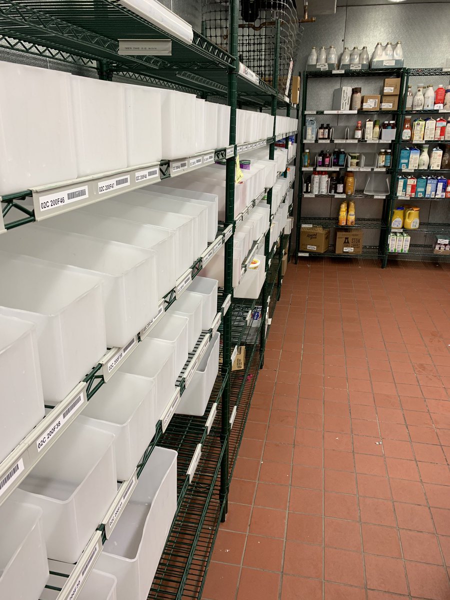 Mattfromtarget3's tweet photo. The food and beverage experts at t0945 are staying ready for our guests by keeping dairy full and zoned, and as empty as possible in the back! #Fill2capacity @FBDirector_MB @BrianHedemark @LindseyT0945 @MaloneTray @Summer_K_W https://t.co/l4W0puiuZu