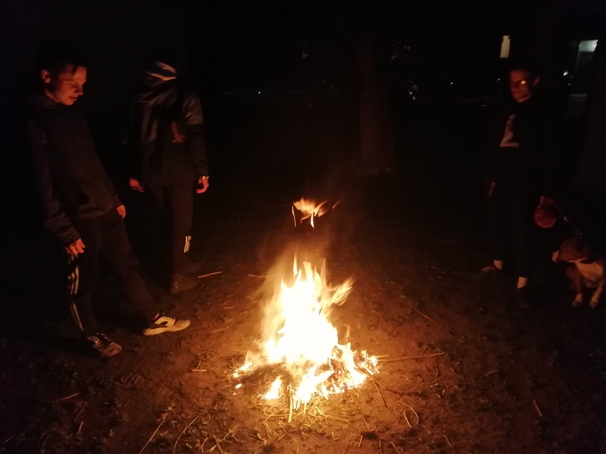 безбик tweet media