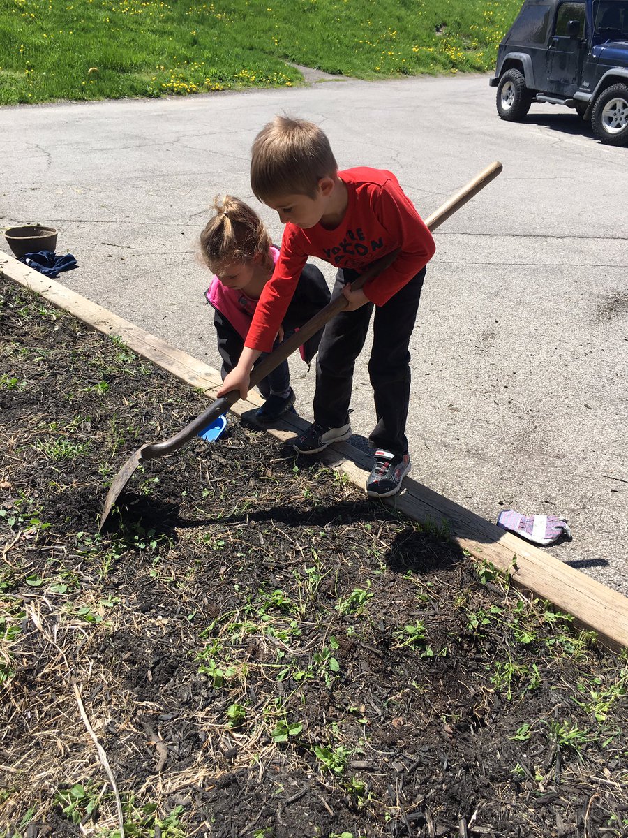 katherine_read's tweet photo. Caring for our new school garden together! @merritt_ps https://t.co/7JNCzwm9J8