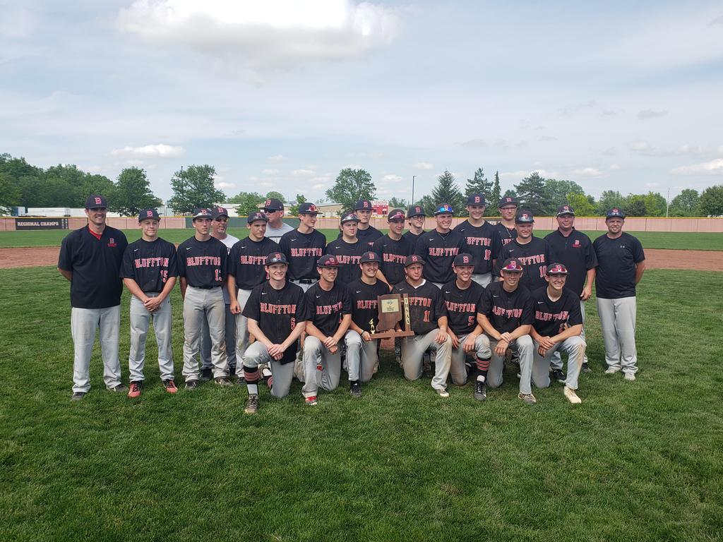 Ladies and gentlemen...your 2019 sectional 36 baseball champions!!! Very proud of them all