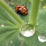 Photo by Helen Clegg M.Sc. Nutrition Student (@HClegg)