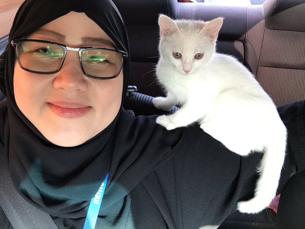 SittieDayyan's tweet photo. So cute... We also adopted a cat we found outside alone. She was so tiny then and she made instant connection at first sight. Now here she is. Riding shotgun with me.😻#Lalab #WhiteCat https://t.co/tcTDAV6RvG