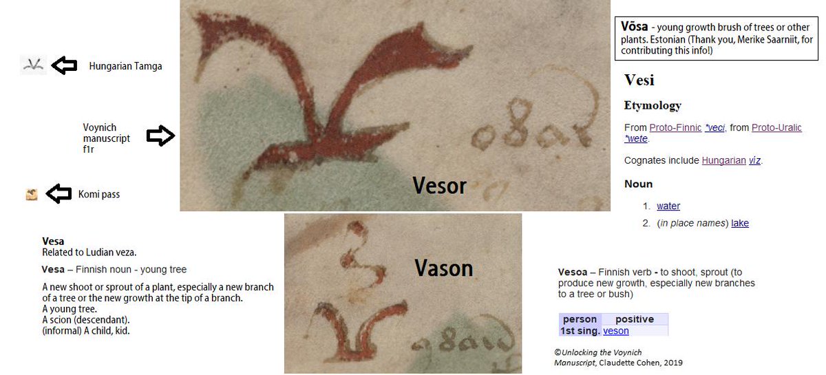 ThePyat's tweet photo. #Voynich #manuscript #VoynichManuscript #linguistics #science #cryptography #cryptology #crypto #encryption #cryptogram #cryptohistory #HistoCrypt #aliencode 
https://t.co/2TEH7BAyfS https://t.co/1iURYhNFd2