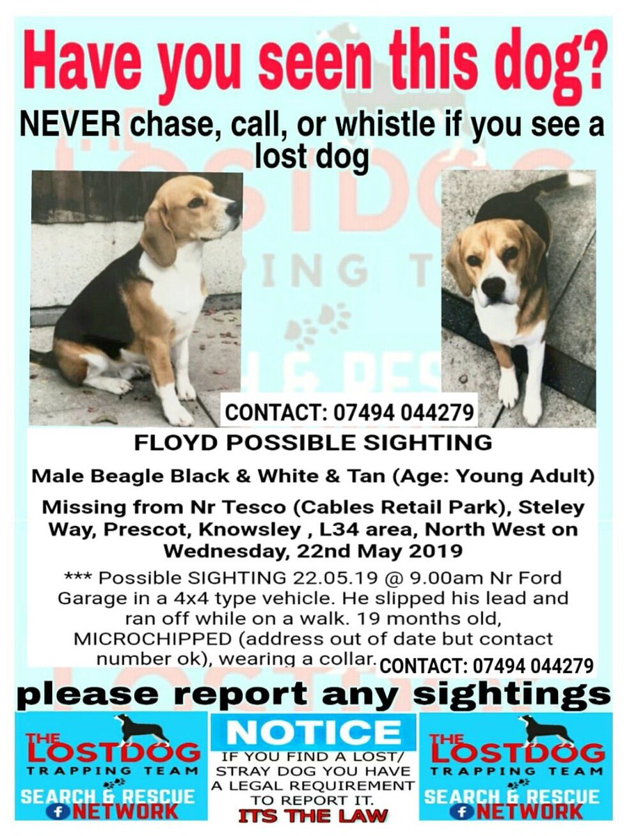 BlueFrenchie1's tweet photo. Male Beaglfe Floyd From Prescot Missing since 22/5/19πWHERE IS FLOYD PLEASE?π#findFloyd @MolliePug @gelert01 @colliealert @RachaelB100 @suedaycam @jaynecellison @LizJ_T @Eloquencealways @thedogfinder @KarenFi51820768 @BrendaBlethyn @HunnyJax @SAMPAuk_ @MissingPetsGB @sar_dogs https://t.co/d3TmgIqBHY