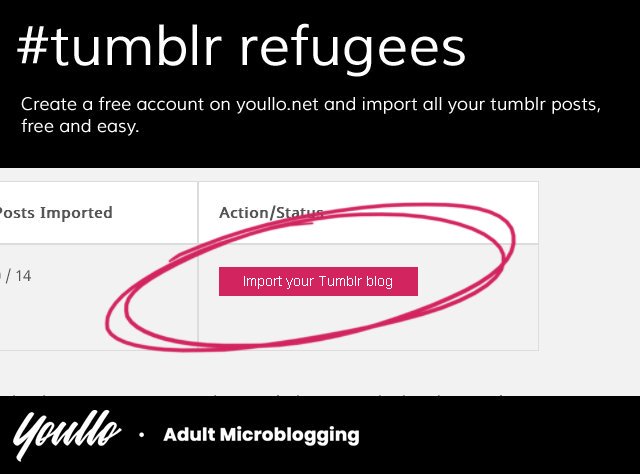 Youllo_net's tweet photo. It's time for a change! Join Youllo today and move your Tumblr Blog with just 5 clicks. Join now: https://t.co/wveLz0R8da #tumblr #tumblrisover #riptumblr #tumblrpurge #tumblrefugee #nsfw #youllo https://t.co/tPaQt4sMDc