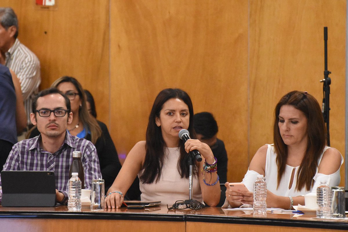 JulietaMRabago's tweet photo. Como diputadas y diputados, estos #forosPND nos permiten enriquecer nuestra visión global sobre esta hoja de ruta que constituye el Plan Nacional de Desarrollo 2019-2024 y el análisis desde los expertos nos permite conocer áreas de oportunidad y fortalezas. https://t.co/DN4PWZIfYq