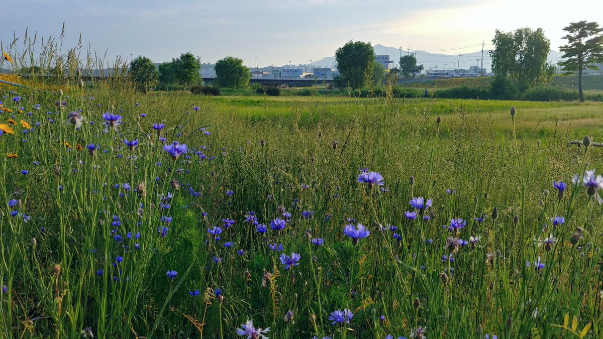 굿모닝~
상쾌한 공기.. 화요일 아침입니다
오늘도 건강하고 행복한 하루 되세요..^^