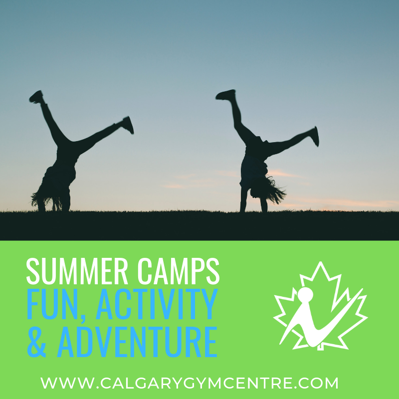 Calgary Gym Centre tweet media