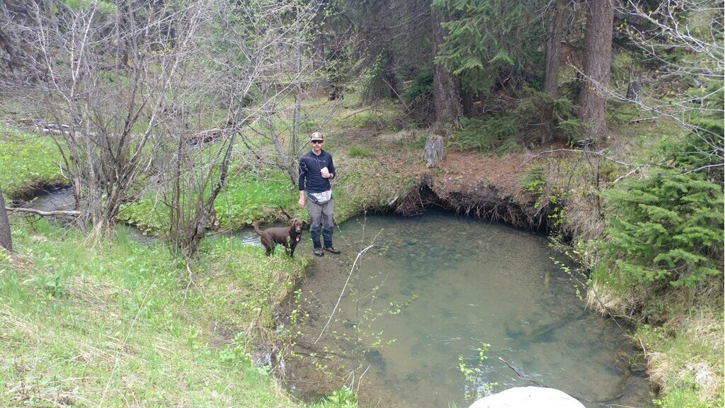 lahrkii's tweet photo. Another wonderful day romping around streams measuring #instreamflow with the pup for the before portion of our #BACI study #UMBRIDGES #INFEWS #BDA #restoration #fisheries #cfs #fieldwork https://t.co/dGmx3PDamP