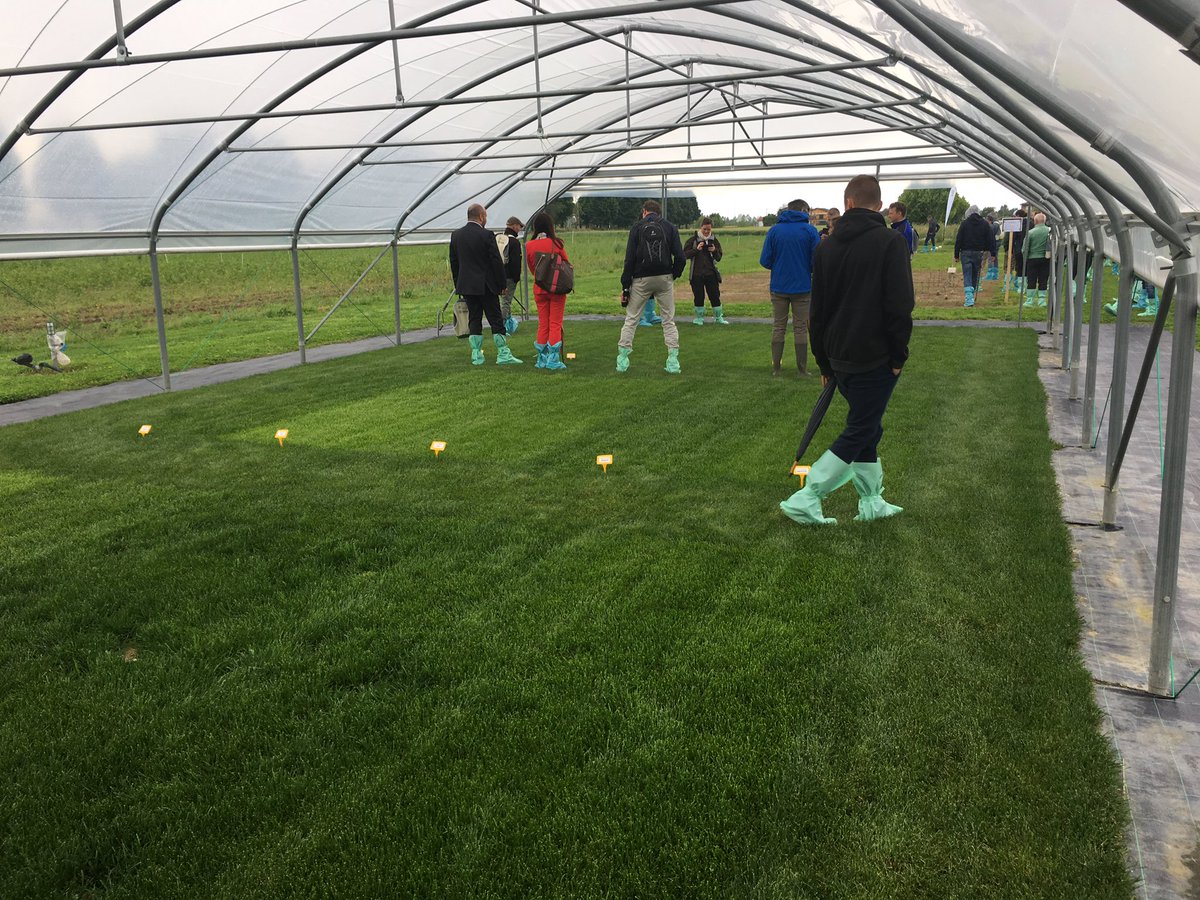 MatteH2O's tweet image. #ETS field day in #Padua and #Landlab today, great day and weather was gracious (tomorrow supposed to be worse) great to see so many people here! no pictures from the last visit because everything is top secret, sorry 😐...