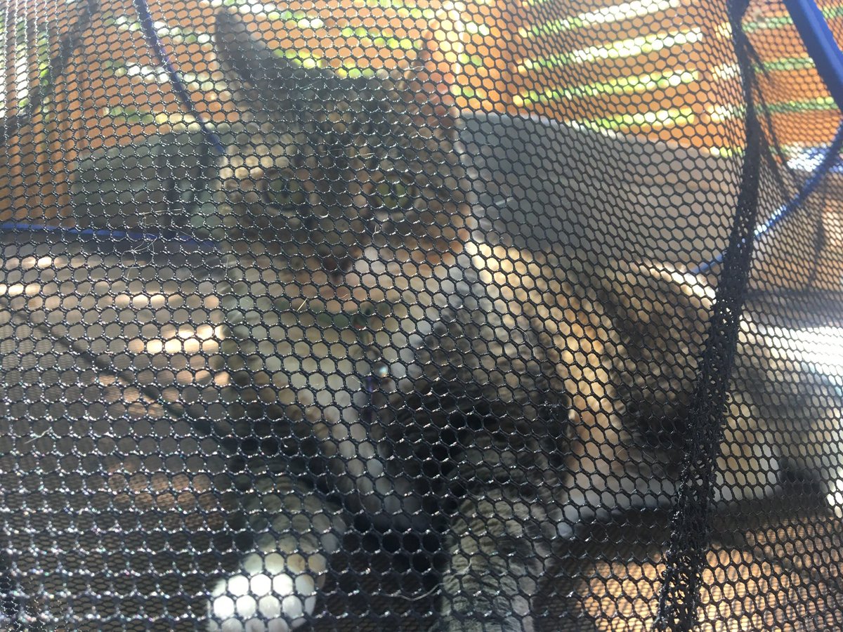 Ah.... the Grate out Doors