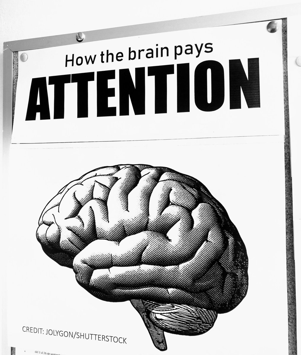 vladimirtocuyo's tweet image. #BrainRules