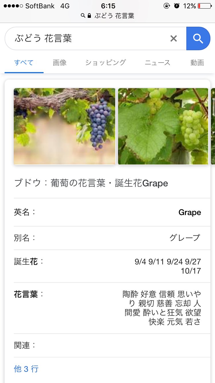 てばさき さら8話目予告 誓さんの飴ぶどう味になるのなにか意味あるだろ とりあえず花言葉調べよって検索かけたら 忘却 酔いと狂気 欲望 とかあってヴェッッッてなった 欲望 命のさらざんまいで学名の語源が生命なの 悪い予想しか立てられない