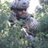 william32530496's tweet photo. Hey! Thank Byron Cedeño for following me on Twitter! https://t.co/8vPn1CZ1Ah https://t.co/wTdutbEb2k