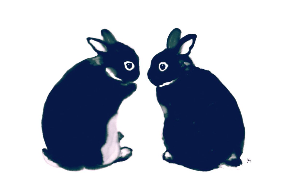 「ひそひそ風くしくし 」|大賀一五🐰のイラスト