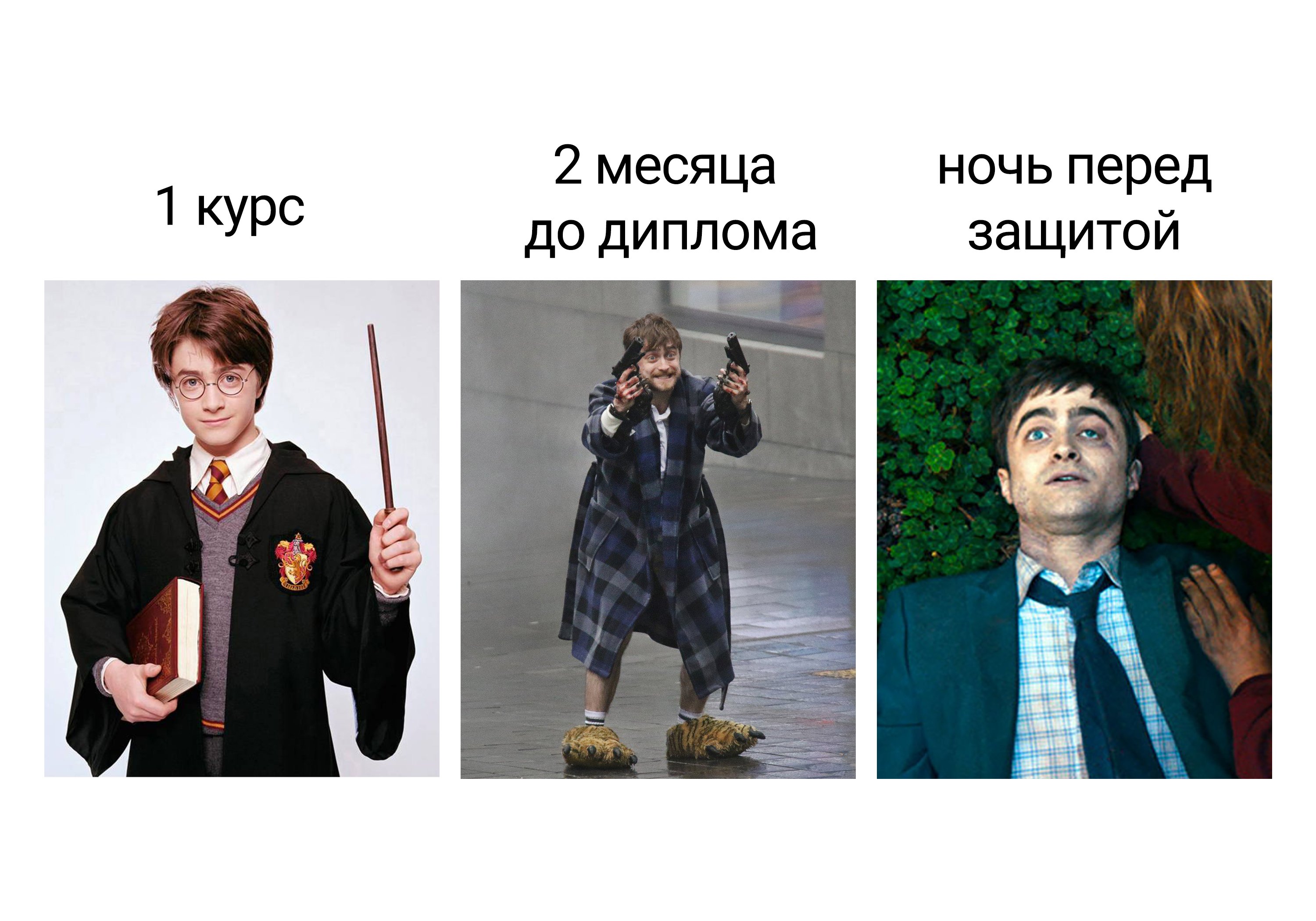 Перед защитой диплома