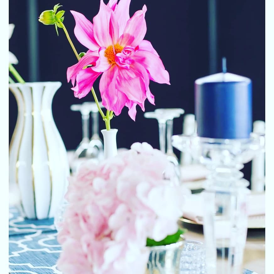 joli_cpt's tweet photo. // Preview Jill and Brendon // 

Credits:
Venue - Bakenhof Winelands Venue
Decor and Flowers- JOLI
Photographer - Rezaine Desai Photography https://t.co/x4r7qdAM00
