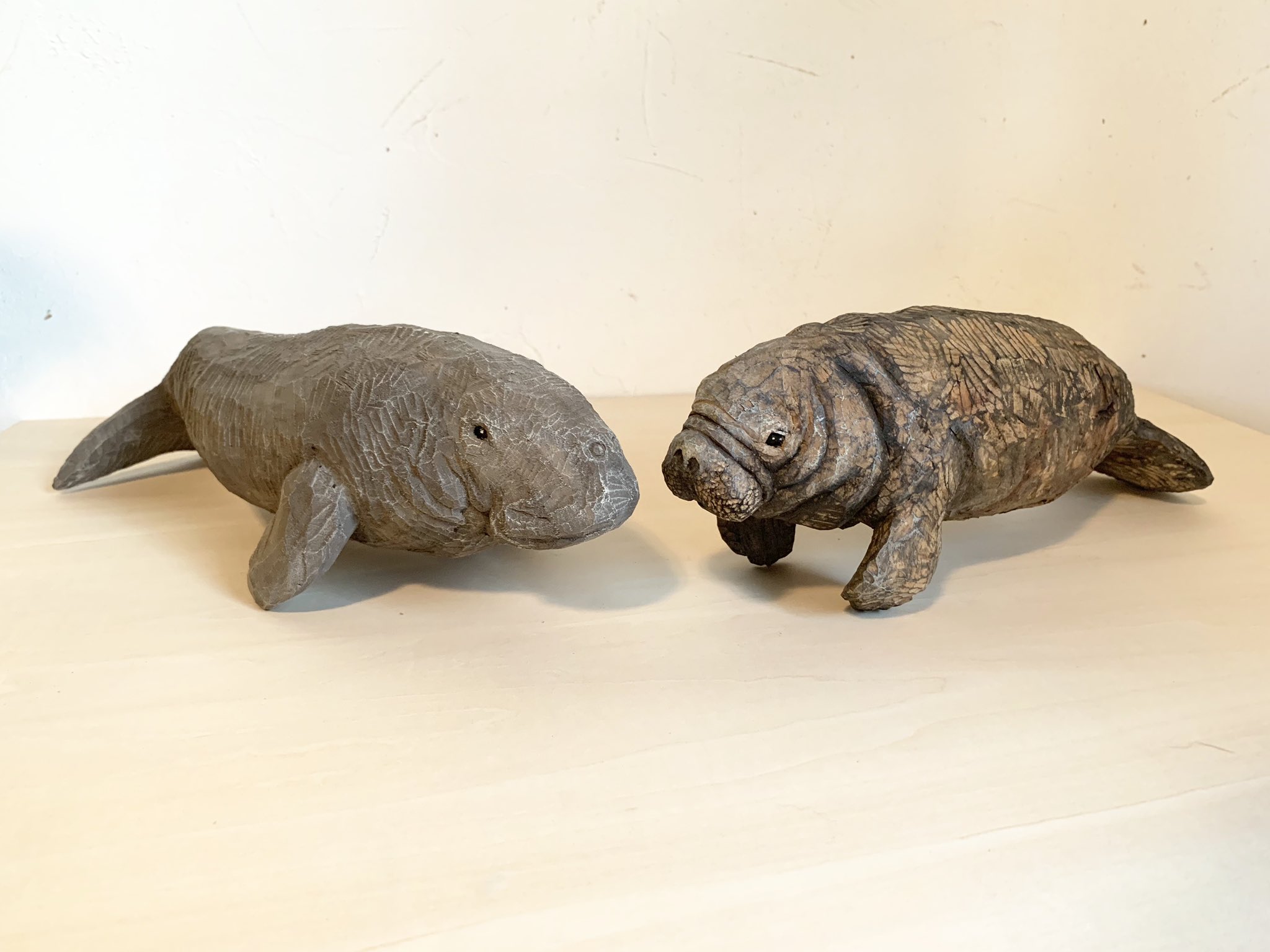 はしもとみお マナティーとジュゴンの違いが分かりやすくなるように彫ってみました ジュゴンのほうがしっぽがお魚風 マナティーのしっぽは丸い ジュゴンは海で暮らし マナティーは河などで暮らすそう すてきな海獣たち T Co Ysekftvuvx