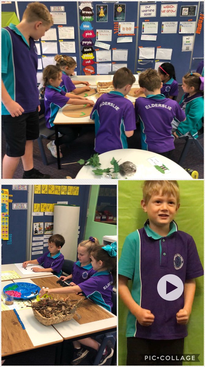 Kindergarten collaborated with our Tech Ministry @PsElderslie to shrink them into their Loose Parts creations of the ‘The Gruffalo’! Movie magic! Thanks to <a href="/steveevo41/">steve evans</a>! @Clarke4535 #eps2020vision #looseparts