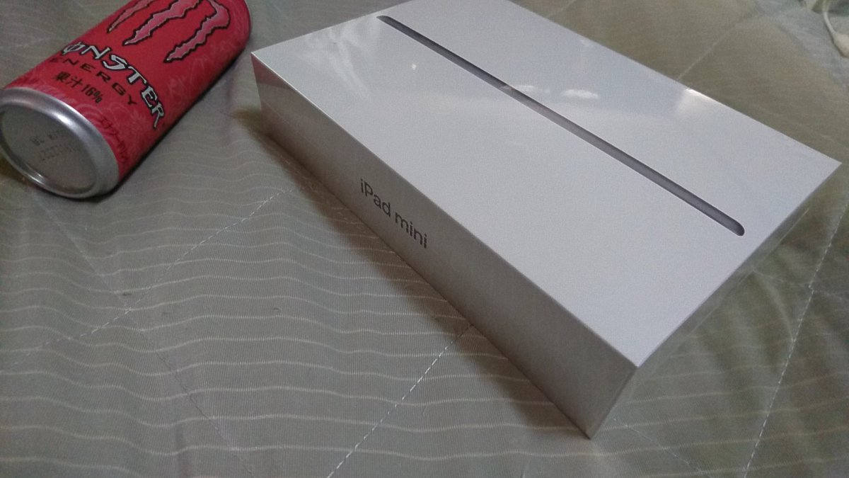 gekojp's tweet photo. 飯食ってる間にiPad mini5 届いた
新型最高～^ https://t.co/nUPwEJNSvI