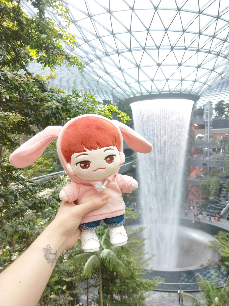 pledis_woos's tweet photo. doll : @cherryhoondoll
name : uji
mine since : 190524 https://t.co/HofulxE0rt