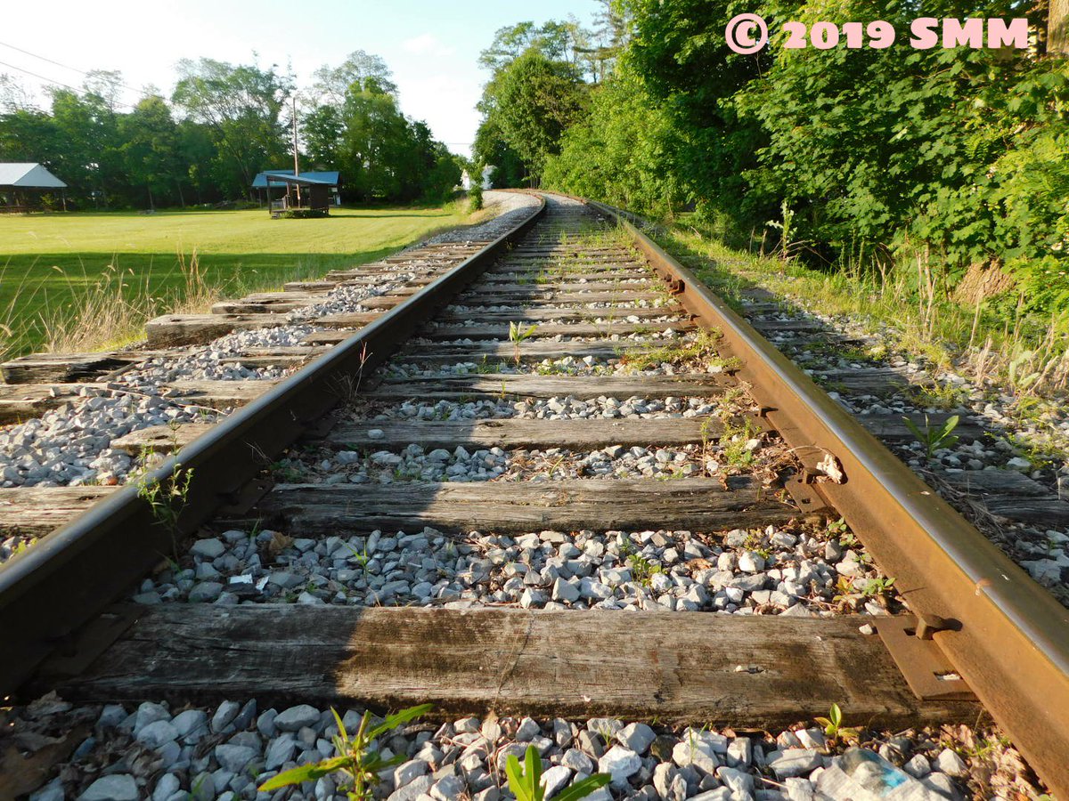 _sarahsunshinee's tweet photo. Took some time to be in nature today. I used to walk these tracks when I was a teenager &amp; sit down at the end on a ledge, with a creek below, &amp; read books/listen to music. https://t.co/EhUopgZxia