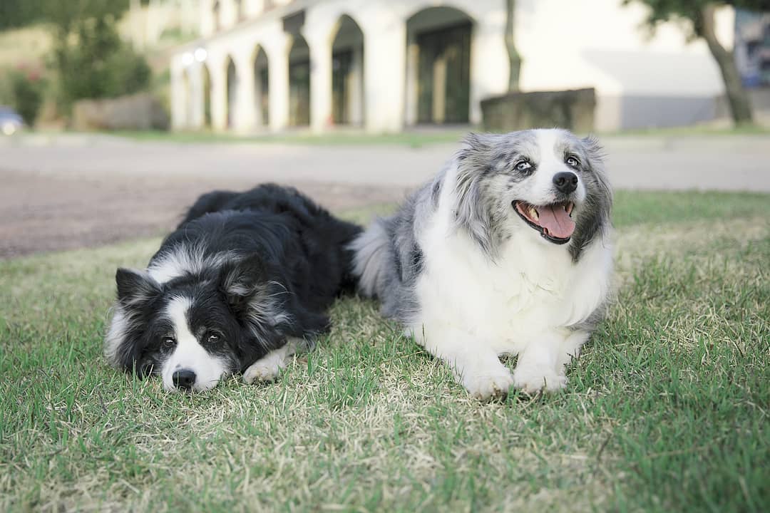 [2019.05.28] Kim Hyun Joong Official Instagram Update
instagram.com/p/Bx_bRdPnf3k/
#キム・ヒョンジュン
#KimHyunJoong
#김현중