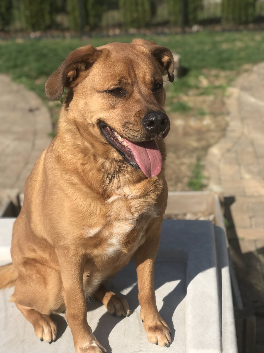 Ben Cook tweet media