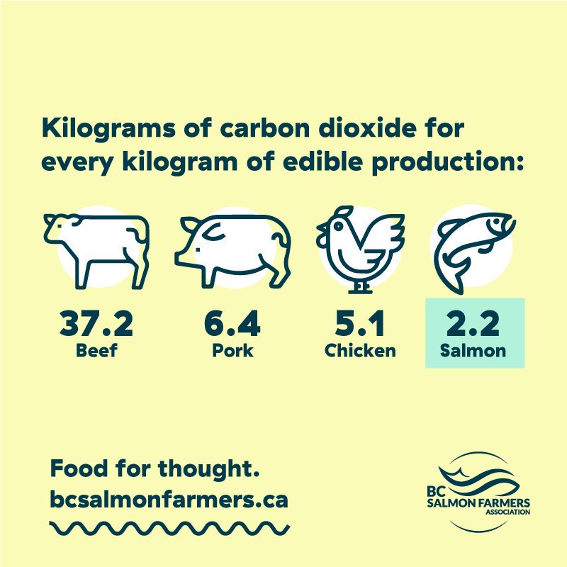 Resource_Works's tweet photo. Thinking about #CO2 #emissions and the #environment? Here's a thought from @BCSalmonFarmers: https://t.co/OgKaQSrDxk
