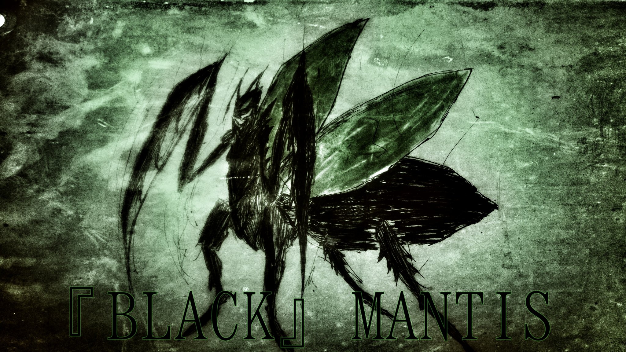 夏影 なお Twitterissa Black Mantis Mantis カマキリ 蟷螂 虫 昆虫 イラスト 絵 アナログイラスト ボールペン画 絵描きさんと繋がりたい 絵描きさんと仲良くなりたい イラスト好きな人と繋がりたい イラスト好きさんと繋がり