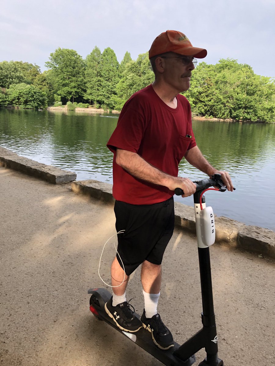 wisdomofpops's tweet image. #birdlife