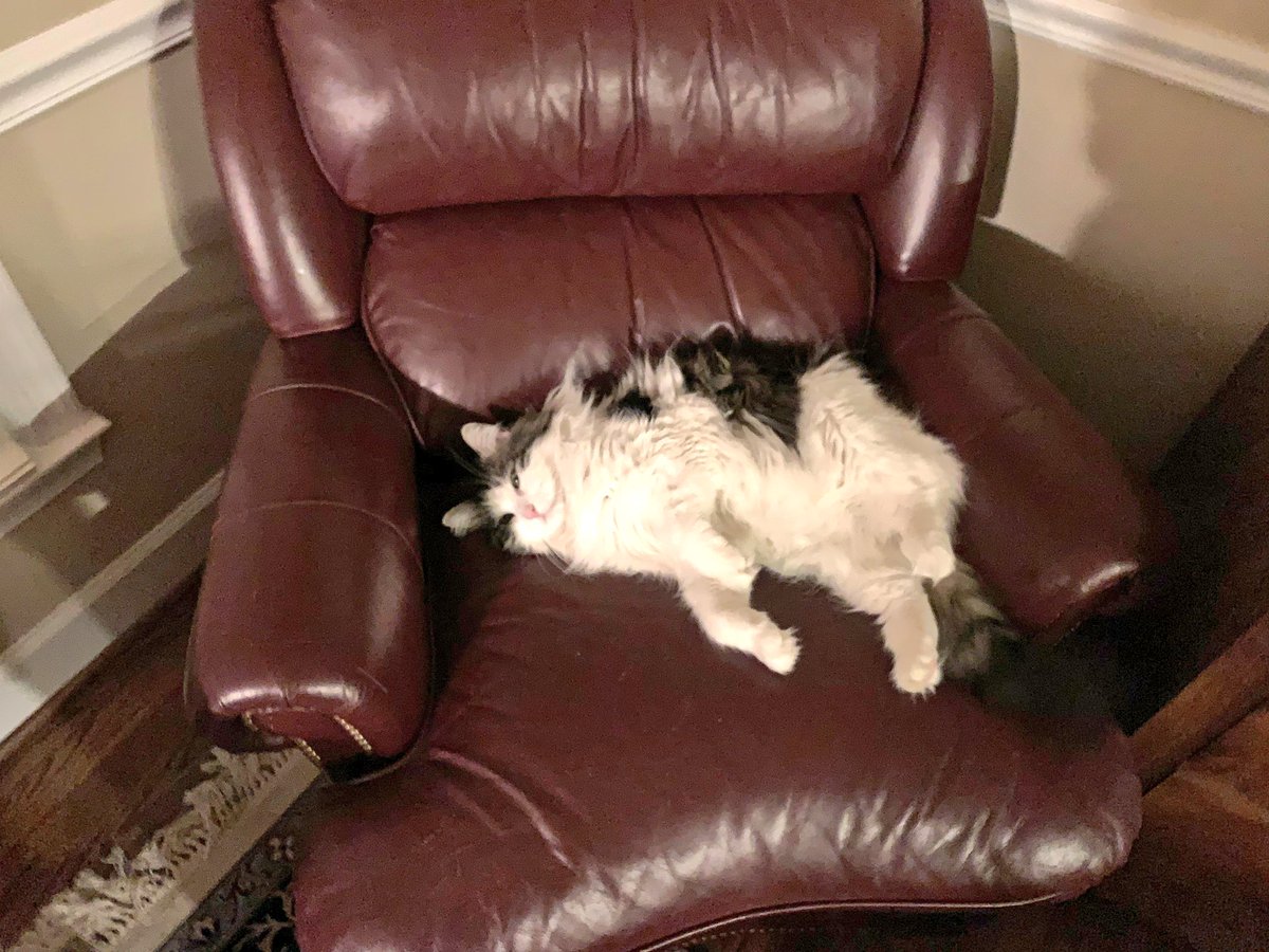 TheRealJaxCat's tweet photo. End of #MemorialDayWeekend vibes https://t.co/PLRdINpggE