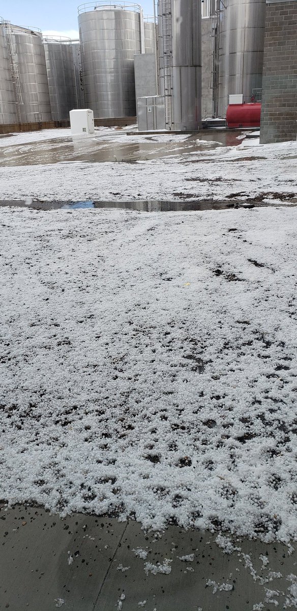 NotMylios's tweet photo. When it's the end of May and you're still getting fucking hailstorms https://t.co/8T9MfqgykD
